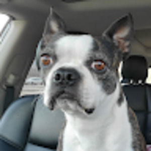 Meet your Posher, Tina